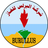 Burullus Gas Company (BGC)